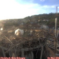 19_40-nest.jpg