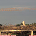 20_05-mast.jpg