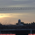 06_00-mast.jpg