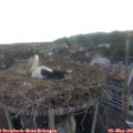 06_00-nest.jpg