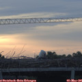 06_10-mast.jpg