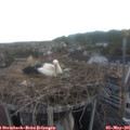 06_10-nest.jpg