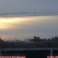 06_25-mast.jpg