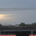 06_40-mast.jpg