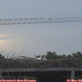 06_45-mast.jpg