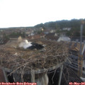 06_45-nest.jpg