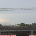 06_50-mast.jpg