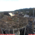 06_55-nest.jpg