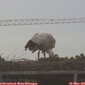 07_00-mast.jpg