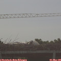 07_05-mast.jpg