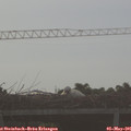07_10-mast.jpg