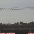 07_15-mast.jpg