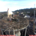 07_20-nest.jpg