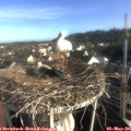 07_40-nest.jpg