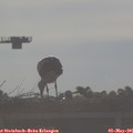 07_55-mast.jpg