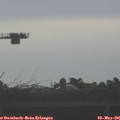 08_15-mast.jpg
