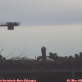 08_35-mast.jpg