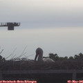 08_40-mast.jpg