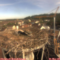 08_40-nest.jpg
