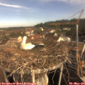 08_55-nest.jpg