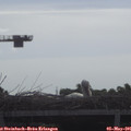 09_00-mast.jpg