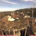09_00-nest.jpg
