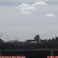 09_05-mast.jpg