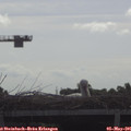 09_10-mast.jpg