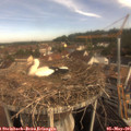 09_10-nest.jpg