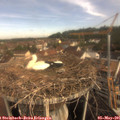 09_15-nest.jpg
