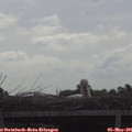 09_20-mast.jpg