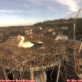 09_20-nest.jpg