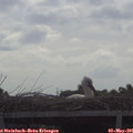 09_25-mast.jpg