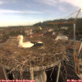 09_25-nest.jpg