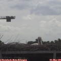 09_30-mast.jpg