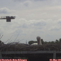 09_35-mast.jpg