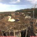 09_35-nest.jpg