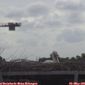 09_40-mast.jpg