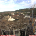 09_45-nest.jpg