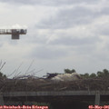 09_55-mast.jpg