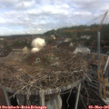 09_55-nest.jpg
