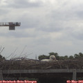 10_00-mast.jpg