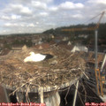 10_00-nest.jpg
