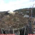 10_05-nest.jpg