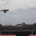 10_20-mast.jpg