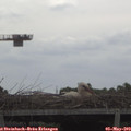 10_25-mast.jpg