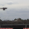 10_30-mast.jpg
