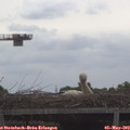 10_35-mast.jpg