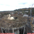 10_35-nest.jpg