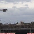 10_45-mast.jpg